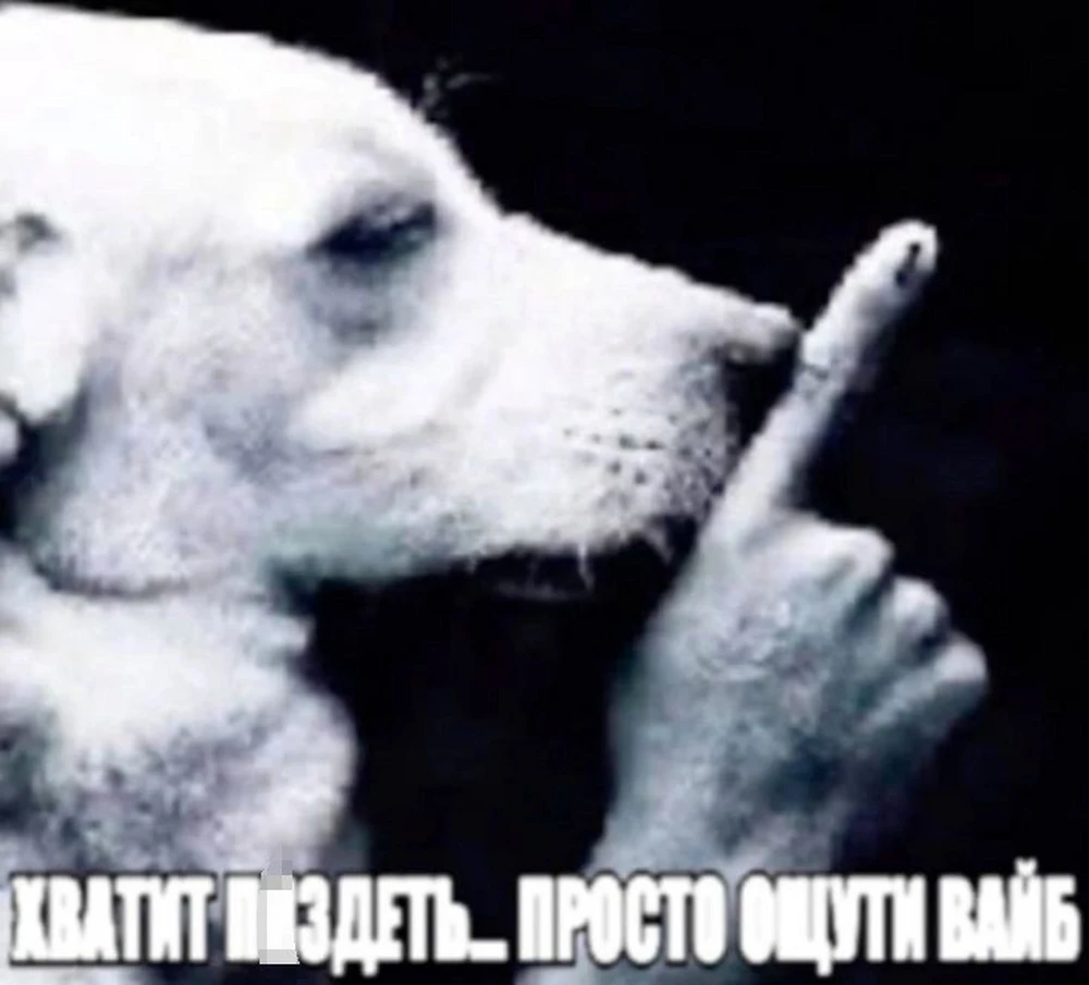 Фото покупателя